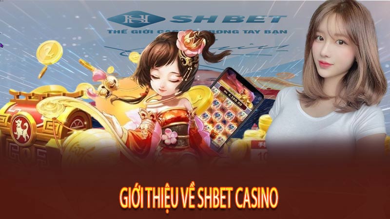 Giới thiệu về Shbet Casino