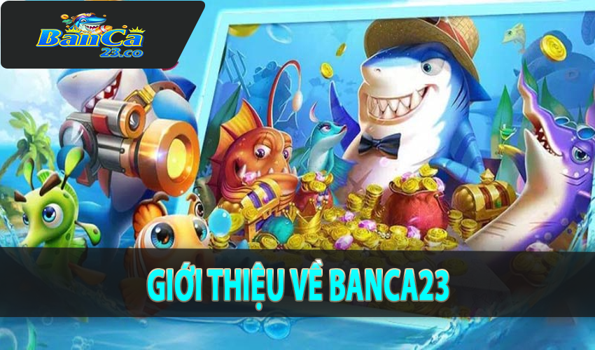 Giới thiệu về Banca23